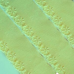 Bordado Inglês Laíse Bordada 3cm Poliéster Algodão 1M