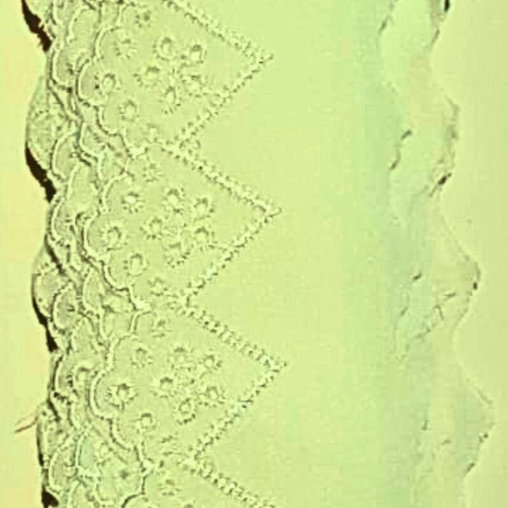 Bordado Inglês Barrado de Laise 6cm Poliéster por Metro