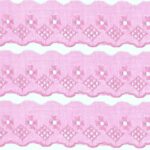 Bordado Inglês Laise Liso CTL 122 5cm por Metro